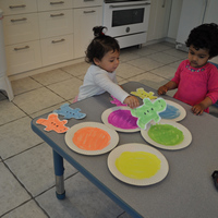 Shadi Academy Child Care & DayCare San Jose CA 95118